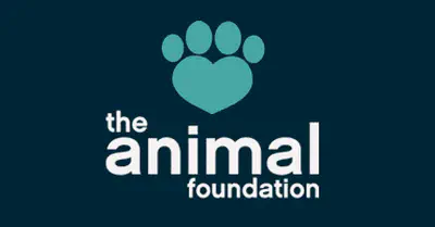 The Animal Foundation User Story: G Suite Backup