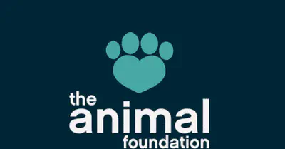 The Animal Foundation User Story: G Suite Backup