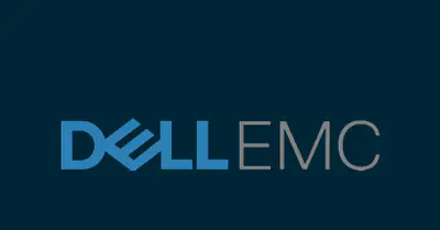 Dell EMC User Story: Salesforce Backup