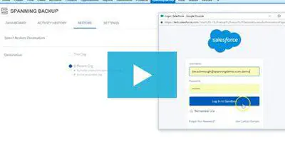 Spanning Backup for Salesforce: Packaged Restore