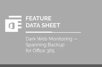 Dark Web Monitoring: Feature Datasheet