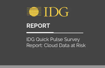 IDG Quick Pulse Survey Report: Cloud Data at Risk