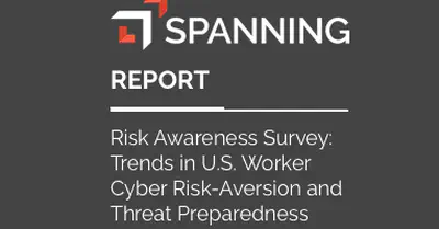 Cybersecurity and Risk Awareness — Spanning Report