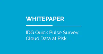 IDG Quick Pulse Survey Report: Cloud Data at Risk