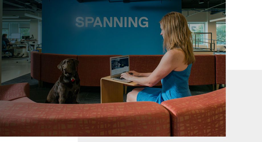 Spanning Cloud Apps, dog-friendly office, Austin, TX