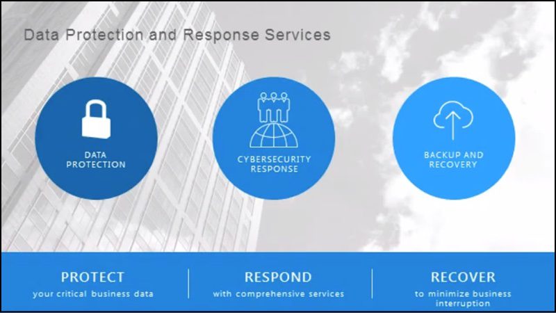 The elements of Data Protection and Response Services.
