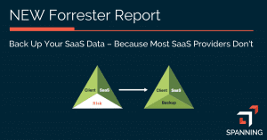 Back up your SaaS Data Because SaaS Providers Don't