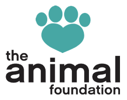 The Animal Foundation User Story: G Suite Backup | Spanning