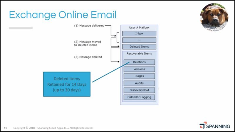 Exchange Online email inbox and deletion folder structure. 