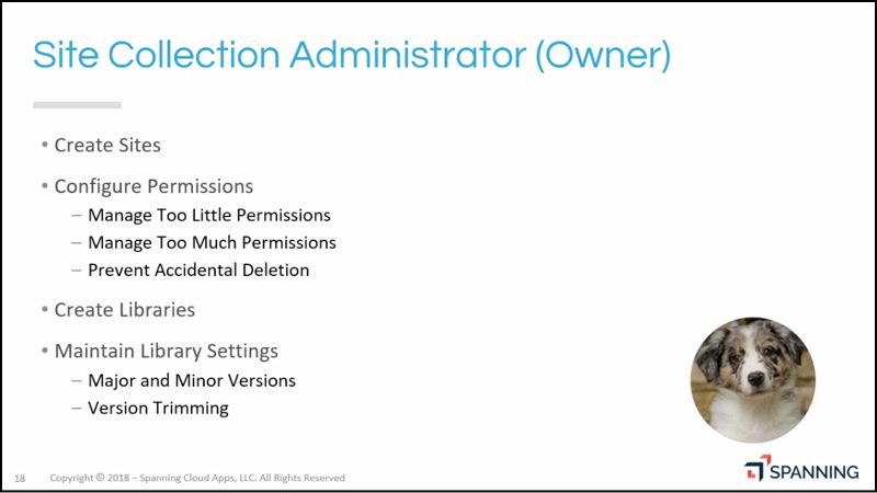 Responsibilities of the Site Collection Admin within an Office 365 tenant. 