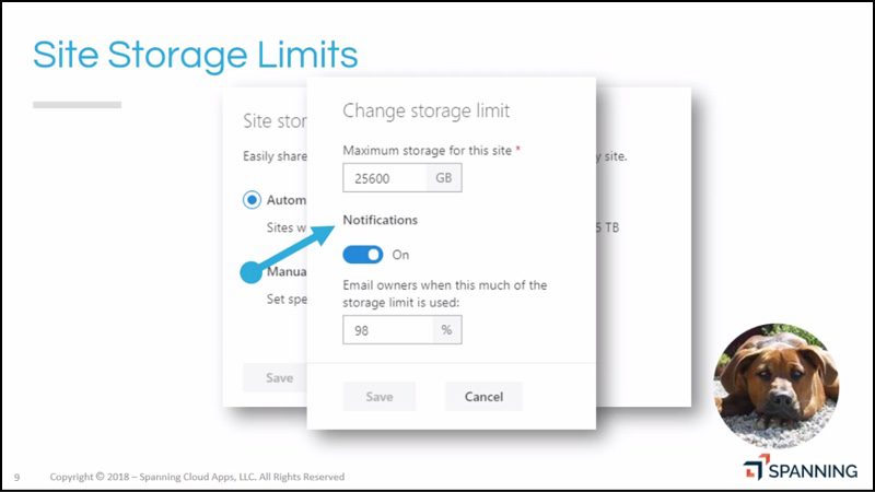Interface for changing storage limits within SharePoint sites.