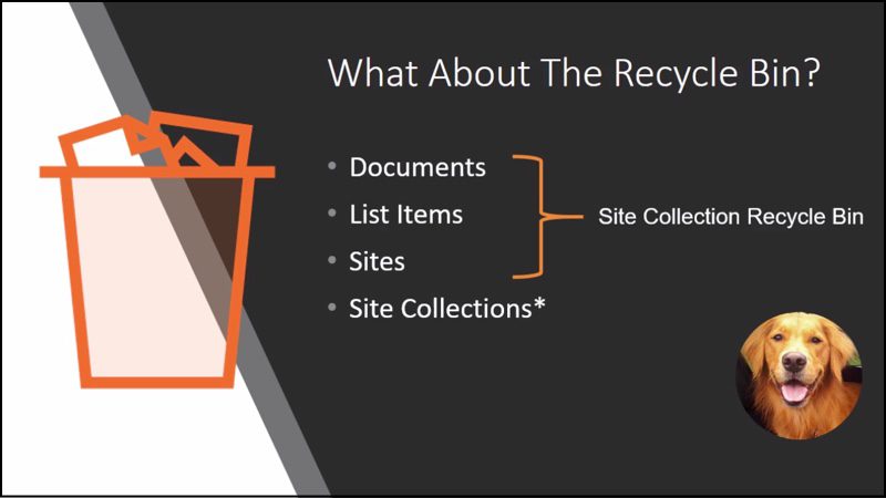 What the Site Collection recycle bin collects: documents, lists items, and sub-sites.