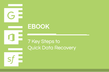 7 Key Steps to Quick Data Recovery | Spanning